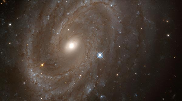 Distant Spiral Galaxy NGC 4603, Home to Variable Stars