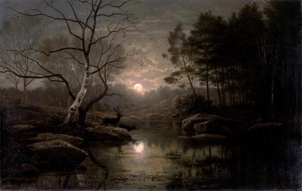 Forest Landscape in the Moonlight