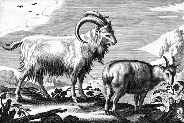 Hilly Landscape with Two Goats