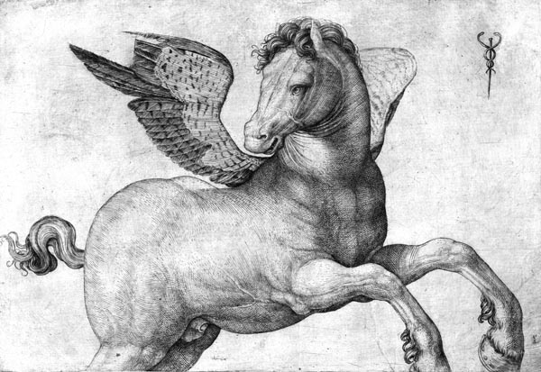 Pegasus