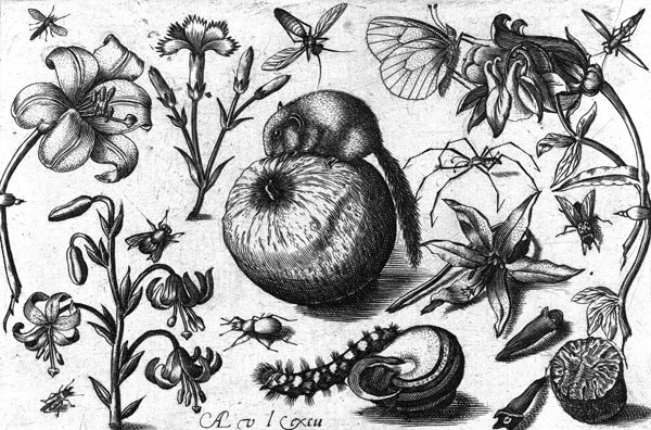 Flowers and a Mouse on an Apple