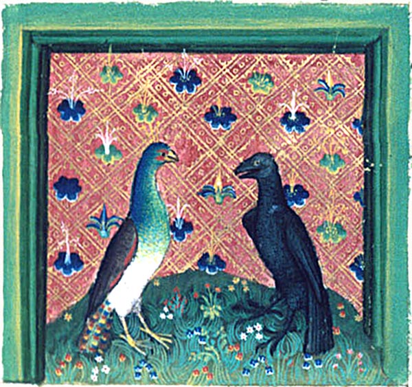 A peacock being mocked by a raven