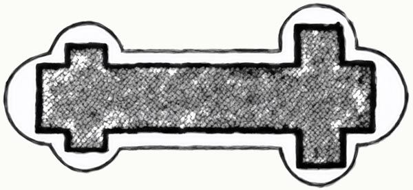 ‘The two apses which unite to form the cathedral’