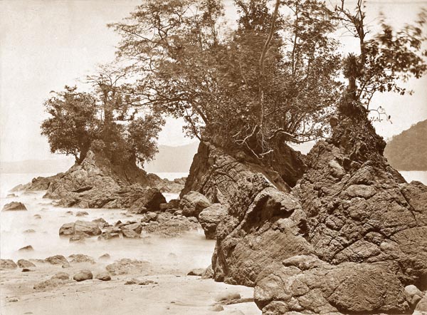 Tropical Scenery, Islands, Limon Bay