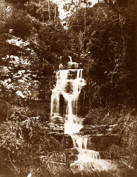 Forest Landscape with Waterfall