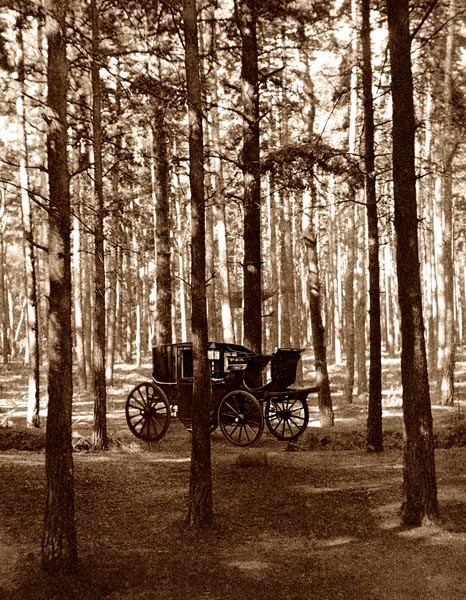 Carriage; Fir Woods, Copsham [Adaptation]