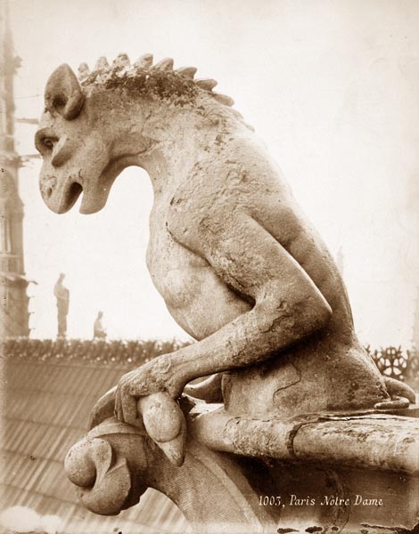 Gargoyle, Notre Dame, Paris, France