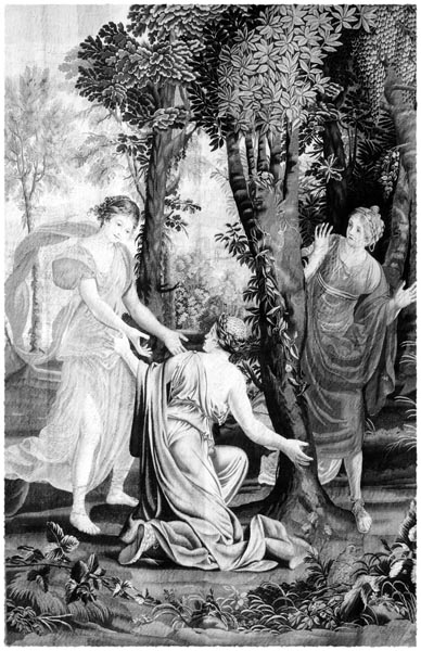 Three Nymphs Surrounding the Daphne Laurel, Raphael de la Planche