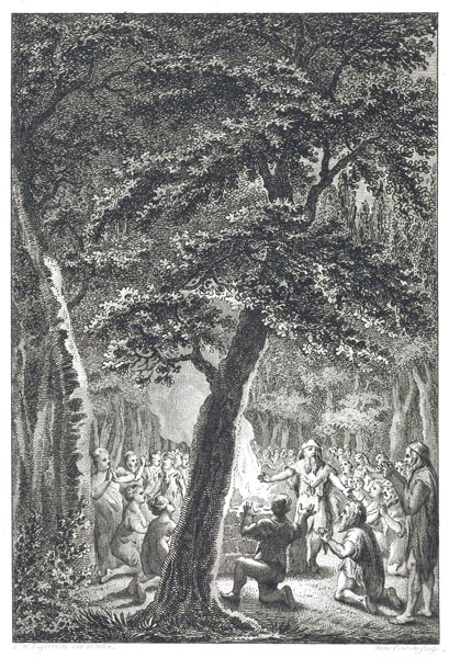 Worship in the Sacred Grove